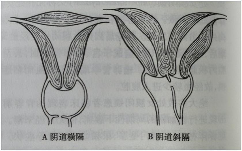 澳门一码一肖一特一中资料，详细解答、全面解答解释落实